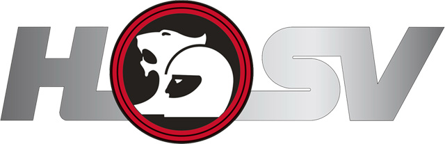 Hualing Xingma (CAMC) logo